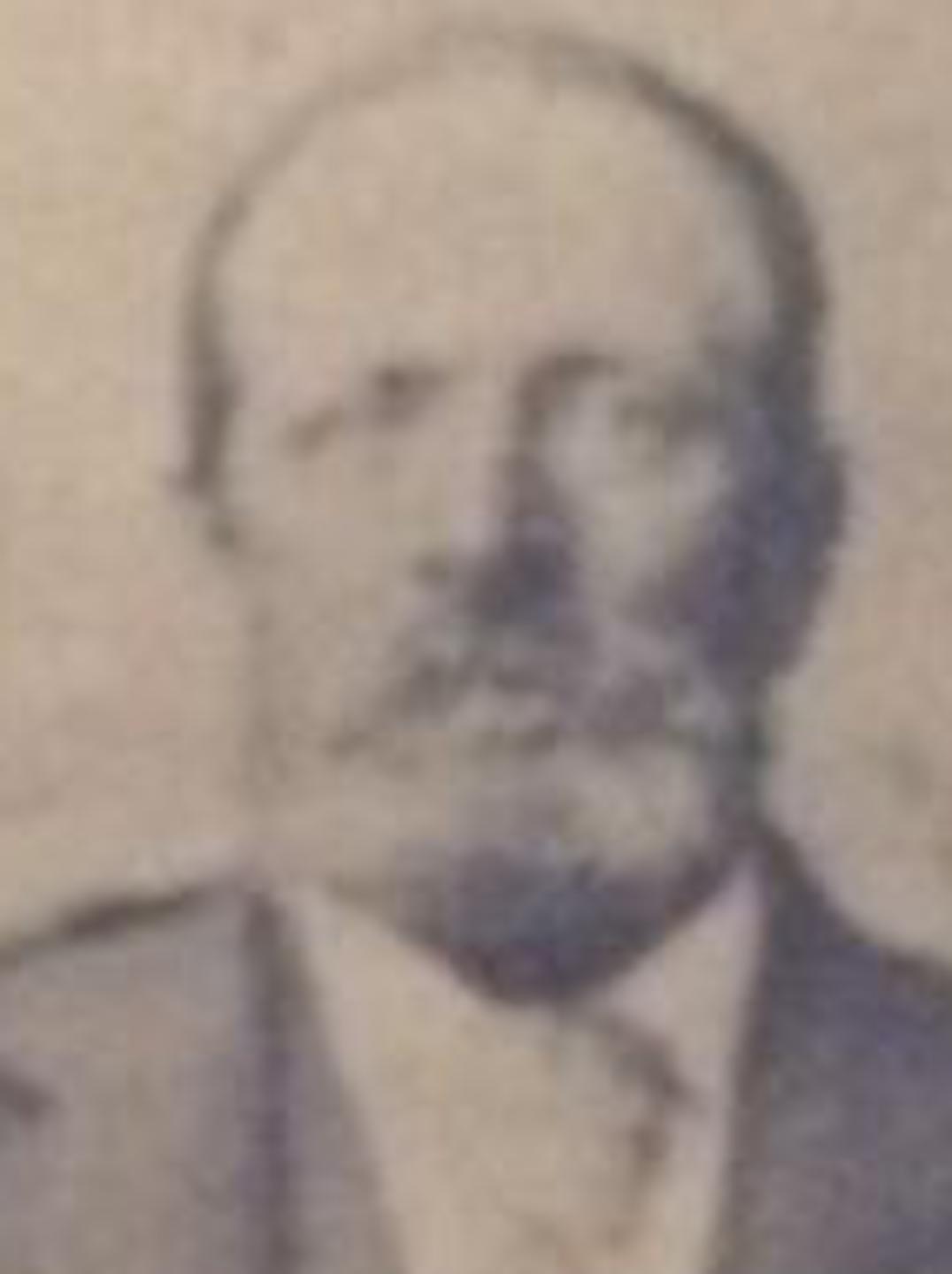 George Judd (1842 - 1923) Profile